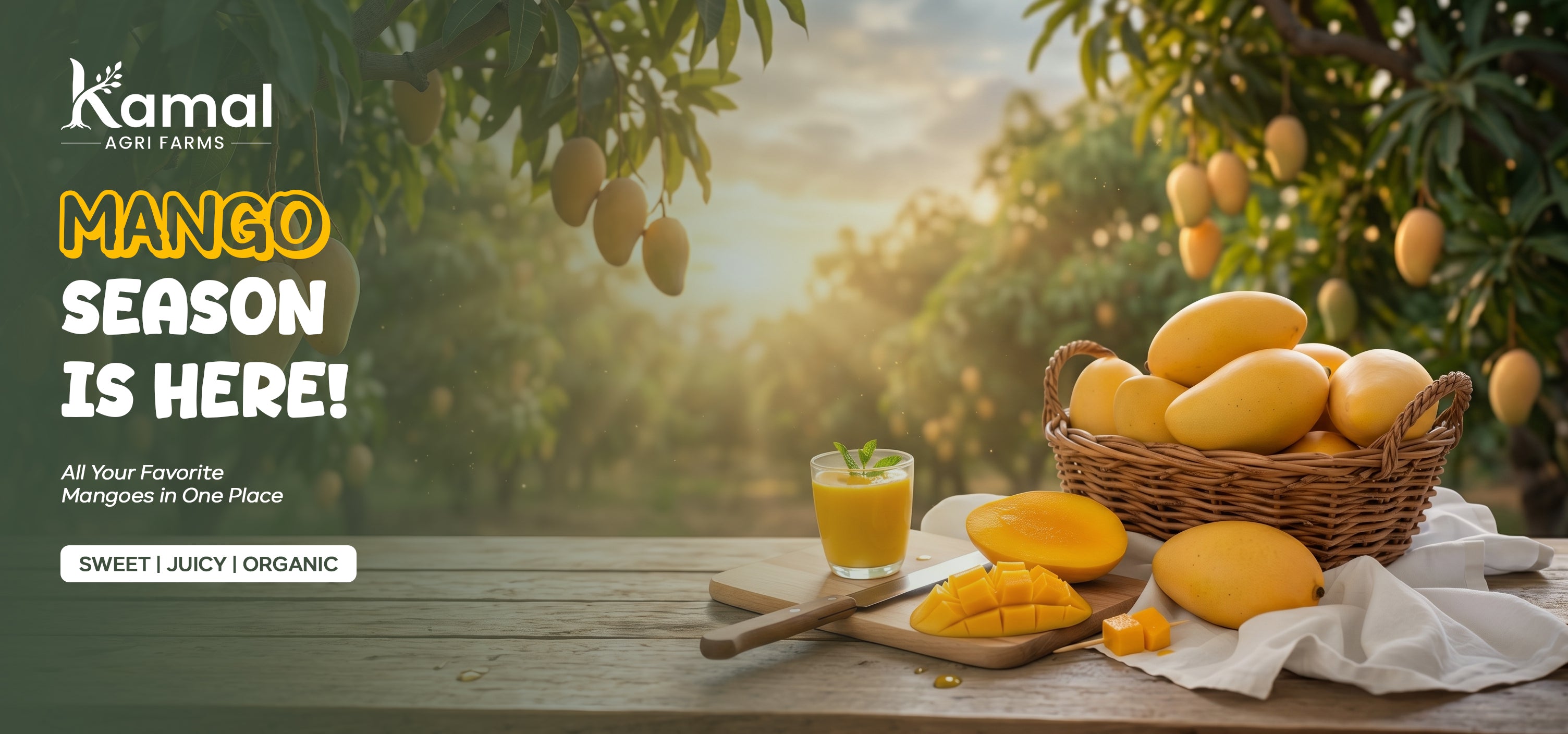 slider image slider_item_zCYJtJ