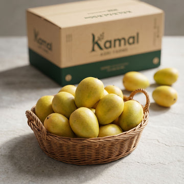 Premium 12 No. Ratol mangoes from farm in Pakistan