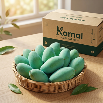 Fajri Mango – Large Size Sweet Aam | Farm Fresh Delivery in Pakistan